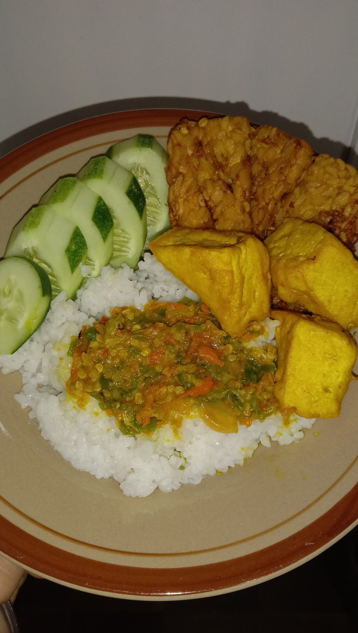 nasi-tempe-orek-tahu